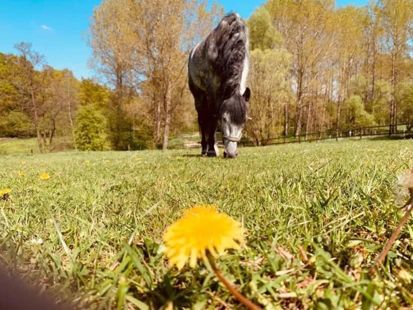 Faire Une Pause Avec Le Temps Thimister Exteriér fotografie